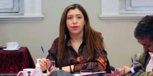 Ximena Montaña consejera regional magallanes