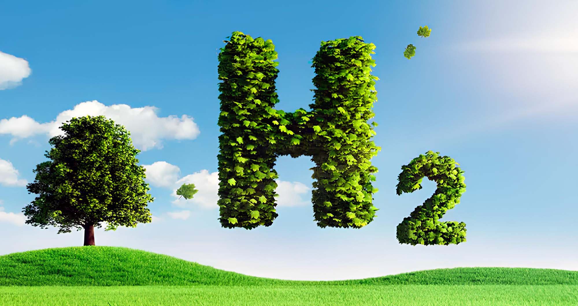 Cappuccino 29 de agosto 2025 Carlos Subiabre Ruiz asesor campaña diputacional Rodrigo Utz