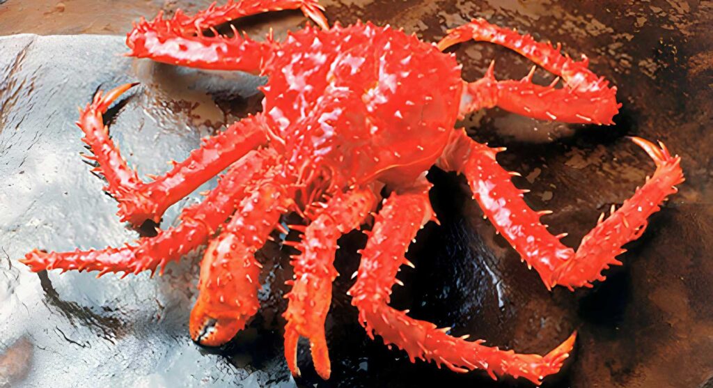 Cappuccino 27 de marzo 2026 José Hernández dirigente pesquero