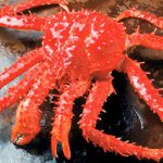 Cappuccino 14 de octubre 2025 José Hernández dirigente